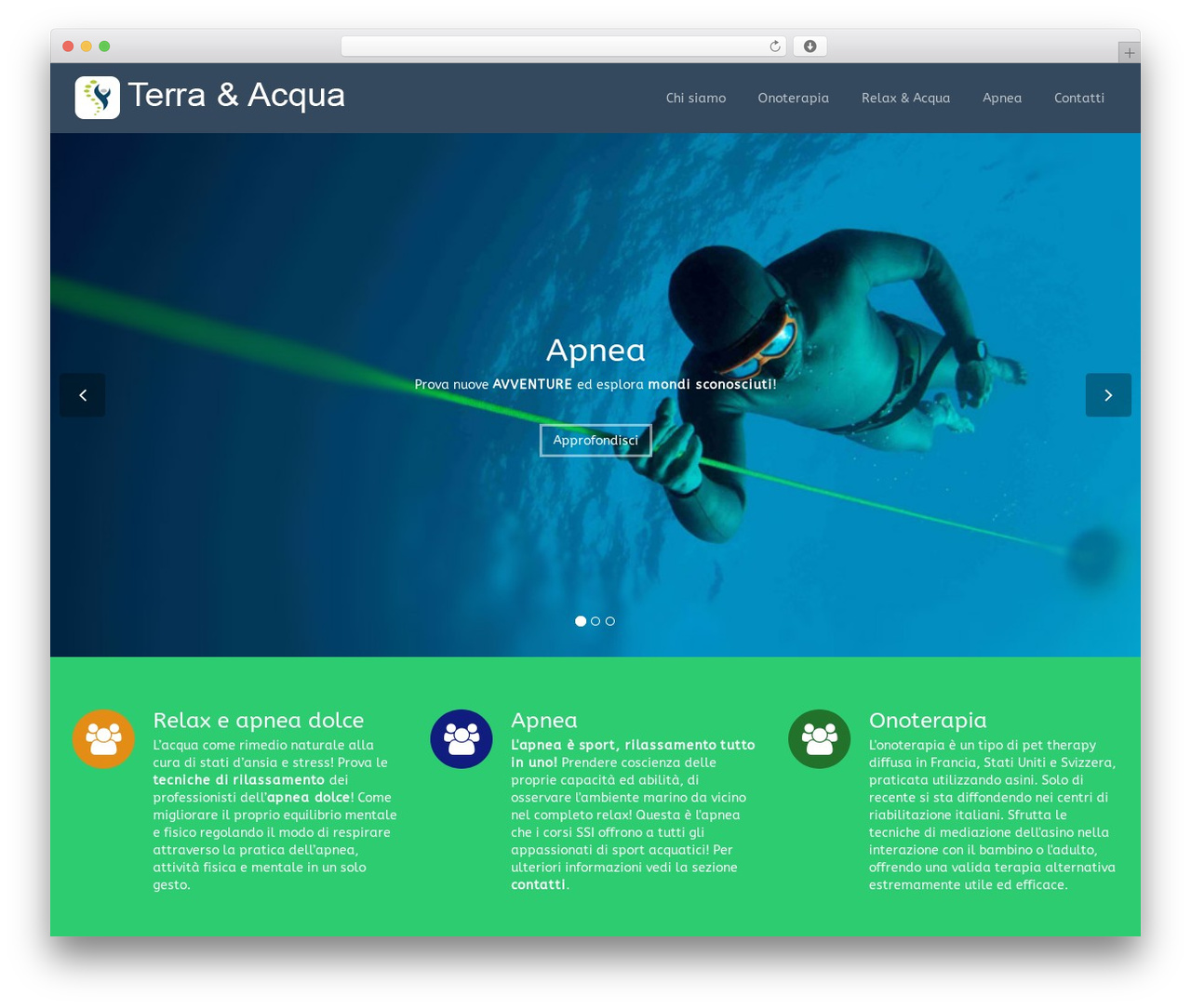 Flat Theme WordPress theme - terraeacqua.org