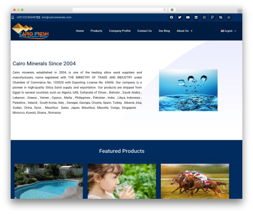 Iws geo form fields WordPress plugin - cairominerals.com