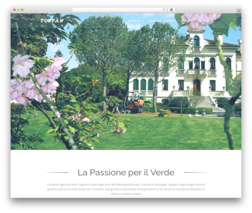 Mobius WordPress theme - vivaitoppan.it