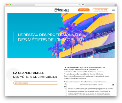 MvtCom WordPress theme - club.immo