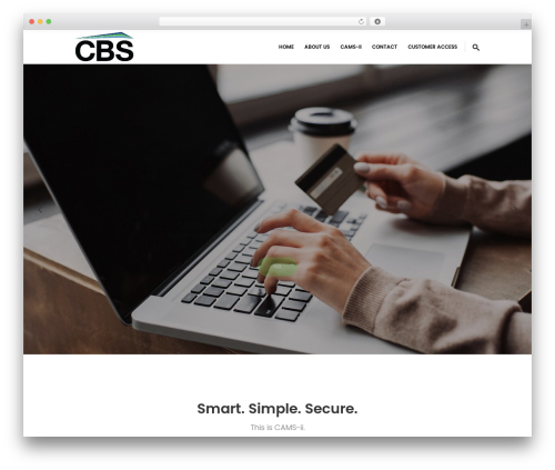 NODE best WordPress theme - camsbycbs.com