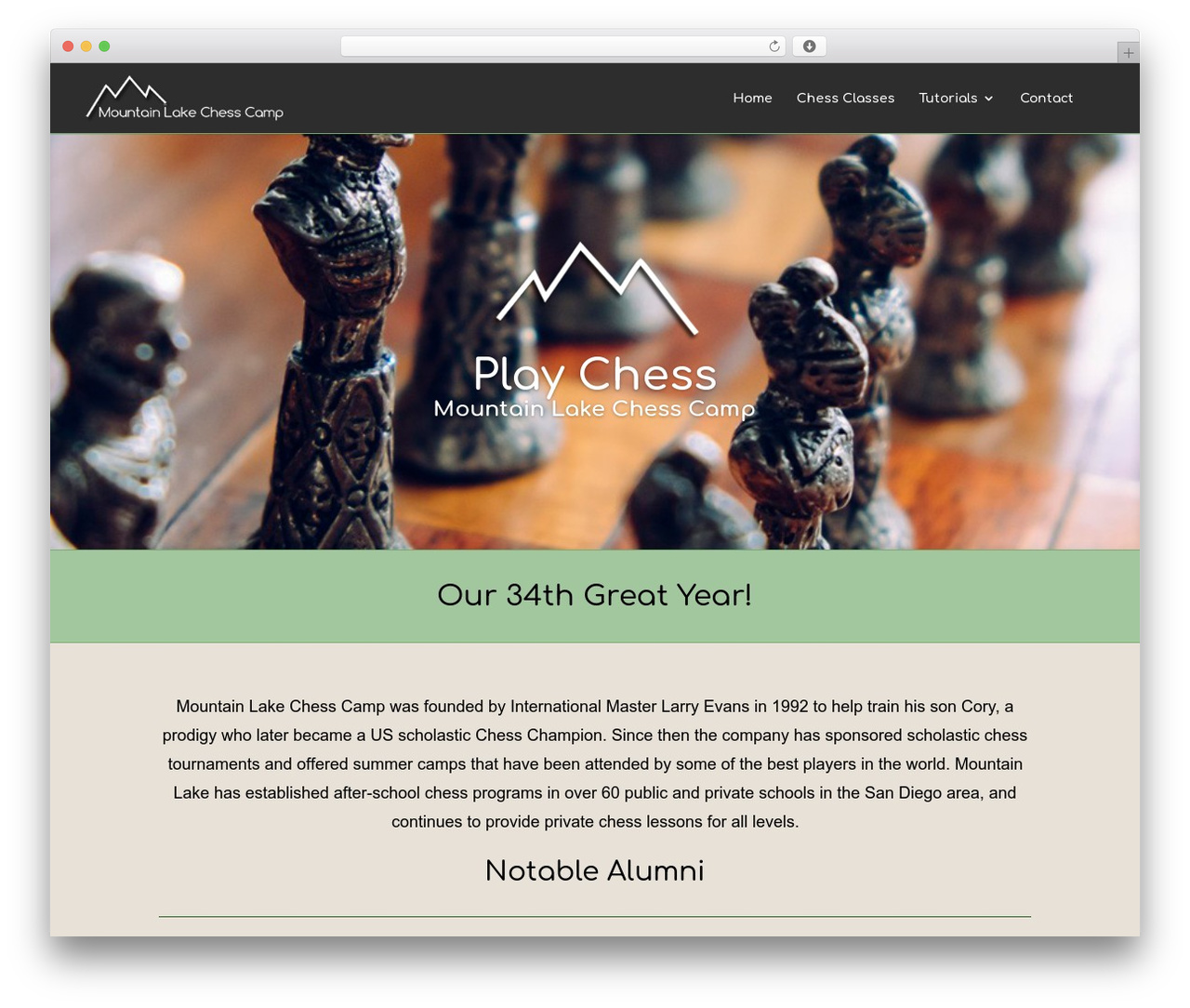 WordPress theme Divi - chesscamp.net