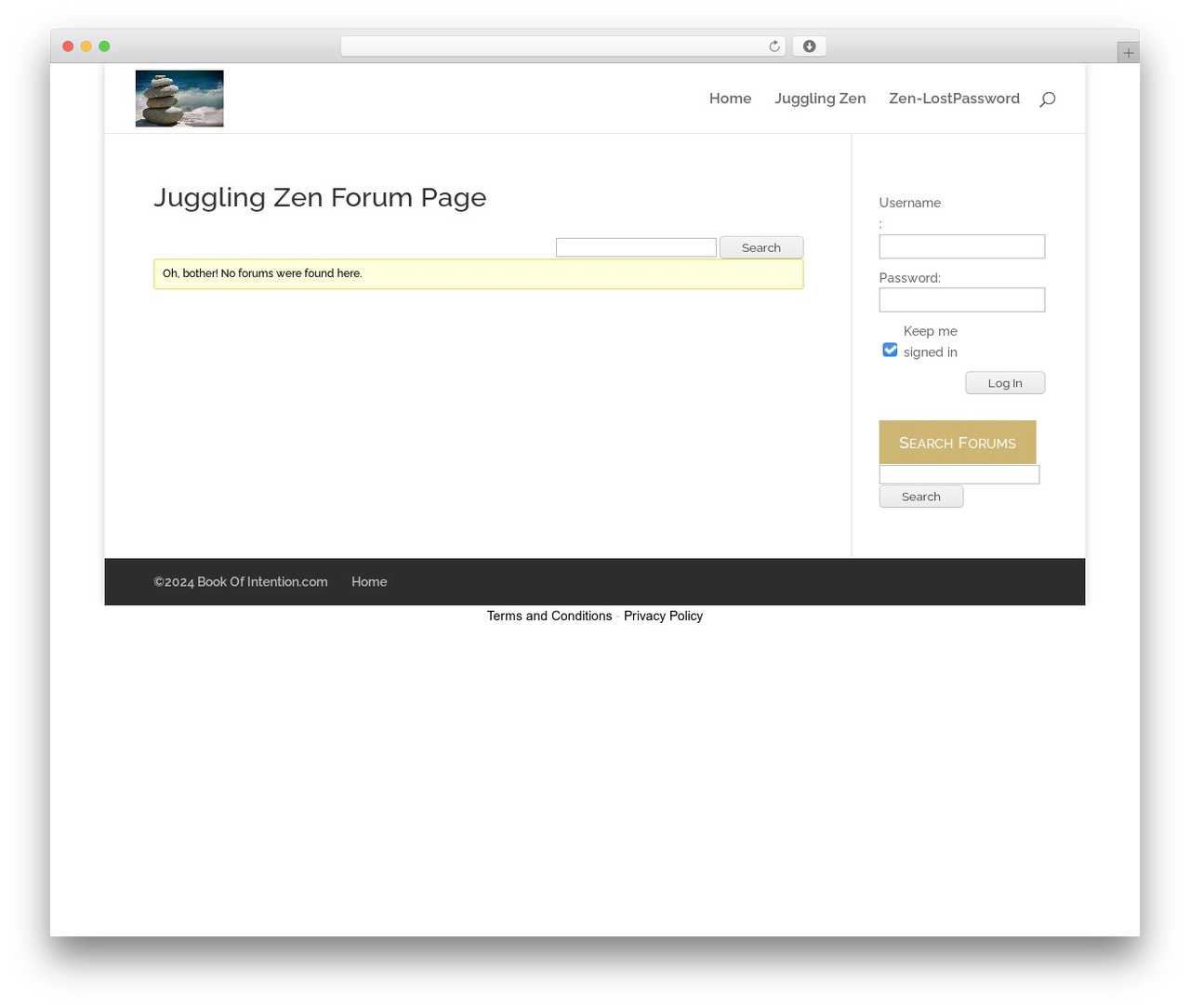 WordPress theme JugglingZenTheme - bookofintention.com