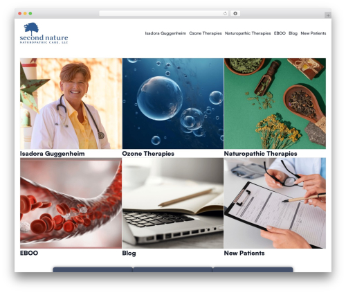 Atarim visual collaboration WordPress plugin - secondnaturecare.com