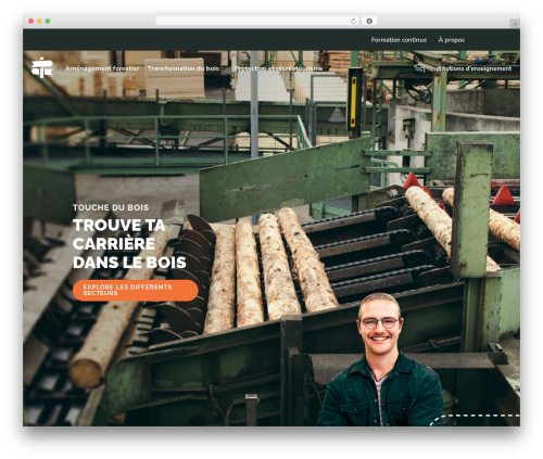 Selectrum Theme WordPress page theme - touchedubois.org