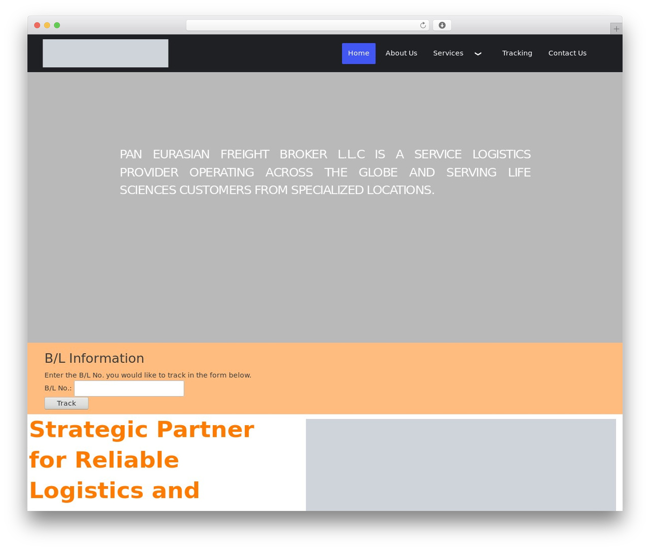 WordPress theme Elemento - paneurasianfreightbroker.com