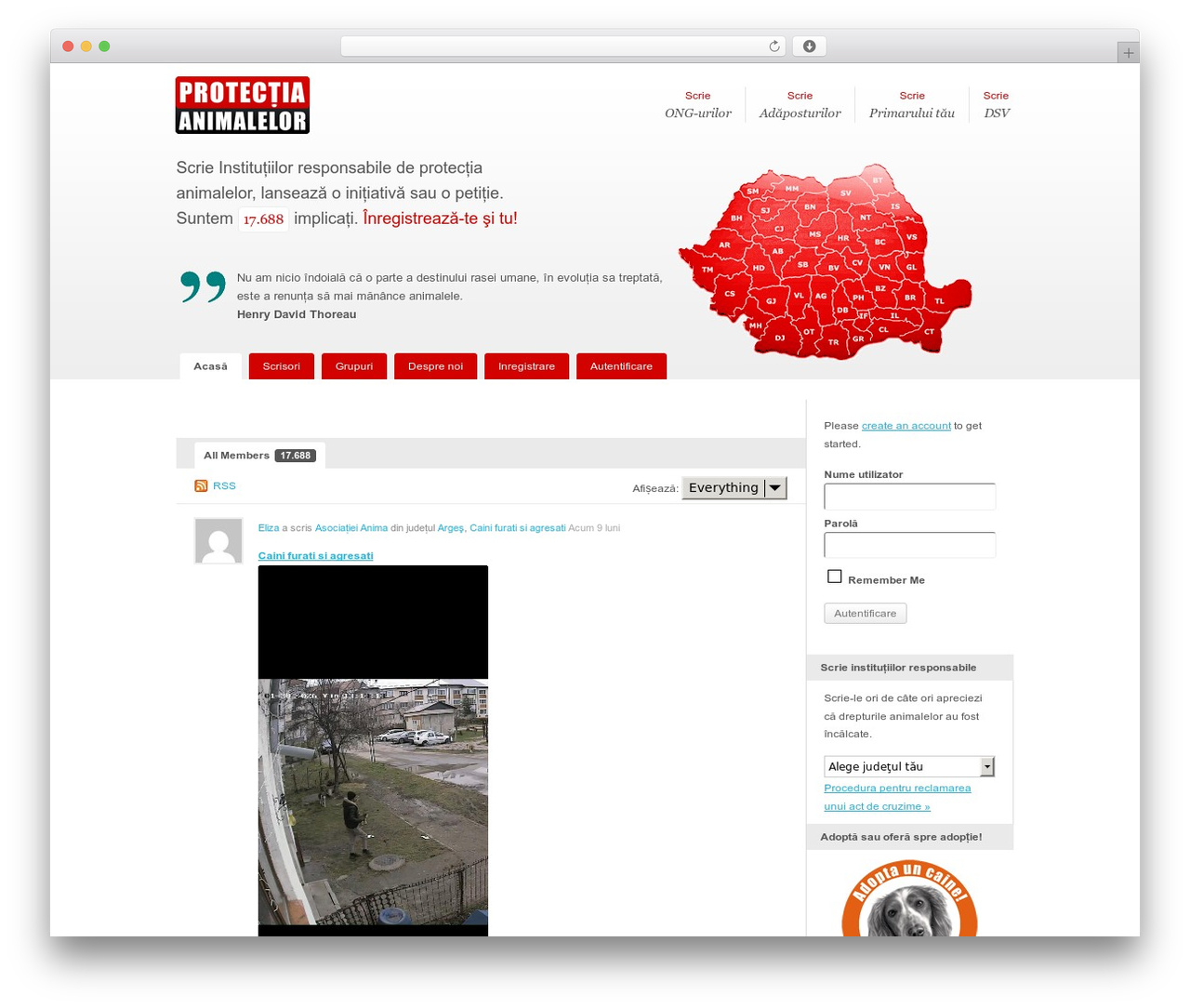WordPress theme BuddyPress Default - protectiaanimalelor.org