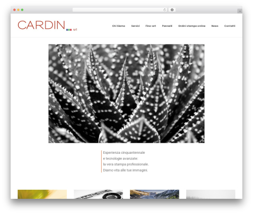 Uncode core WordPress plugin - cardinsrl.it