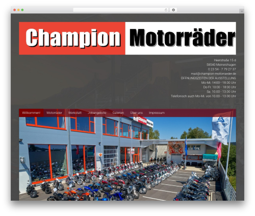 Beautiful taxonomy filters (beautiful-taxonomy-filters) free WordPress plugin - champion-motorraeder.de