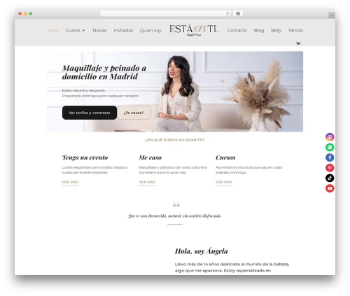 Elfsight social icons cc WordPress plugin - estaenti.es