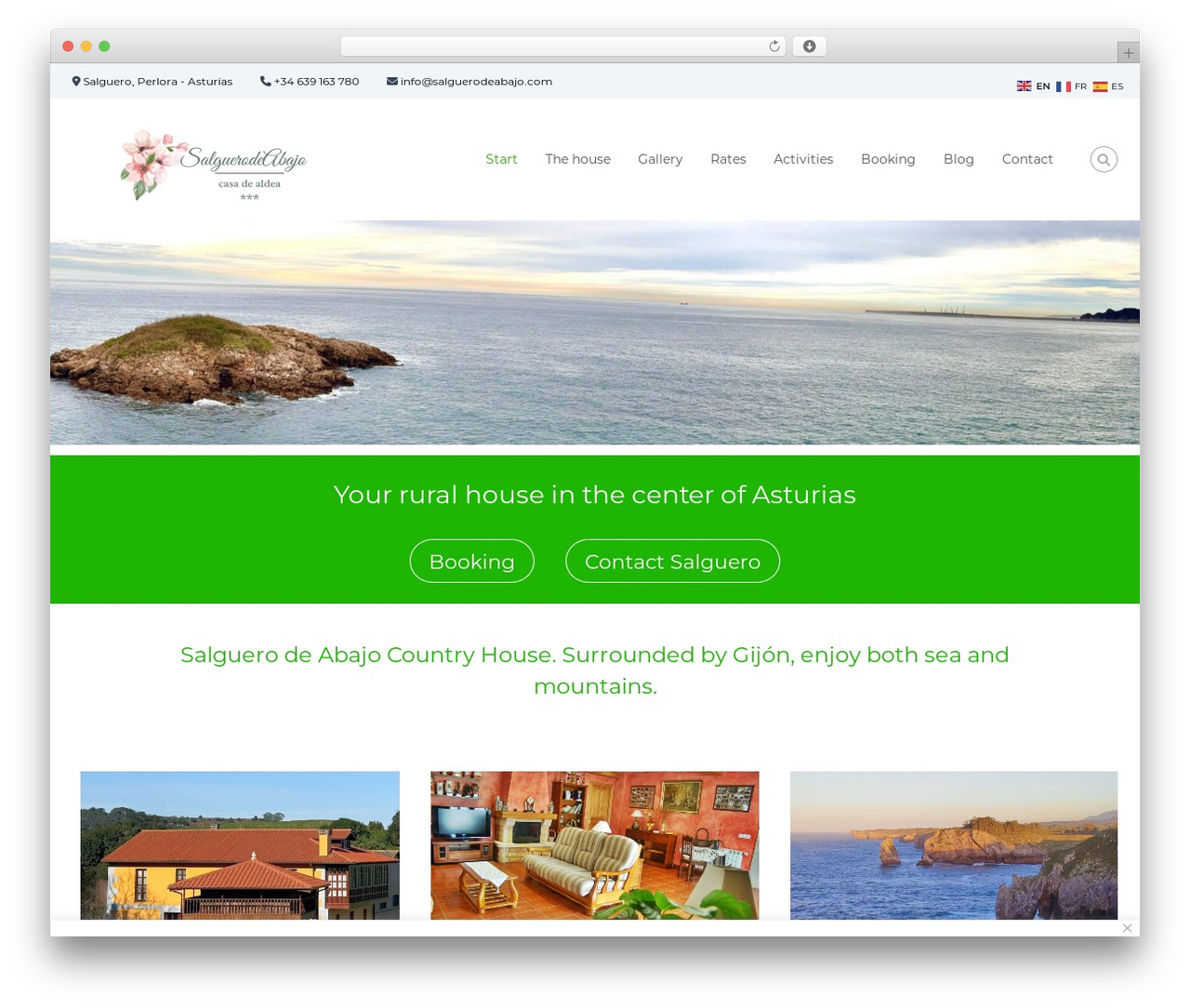 Flash WordPress theme design - salguerodeabajo.com