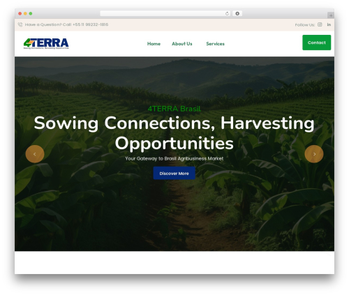 Themesflat core WordPress plugin - 4terrabrasil.com