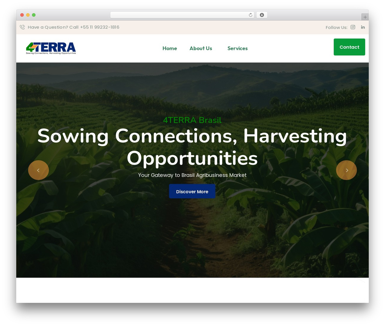WordPress theme graingrow - 4terrabrasil.com WordPress theme graingrow - 4terrabrasil.com