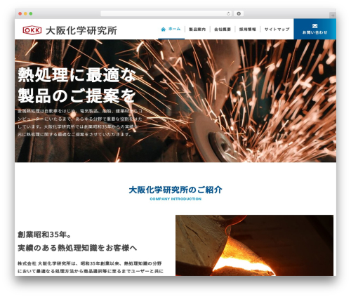 WordPress website theme my-theme - o-kk.com