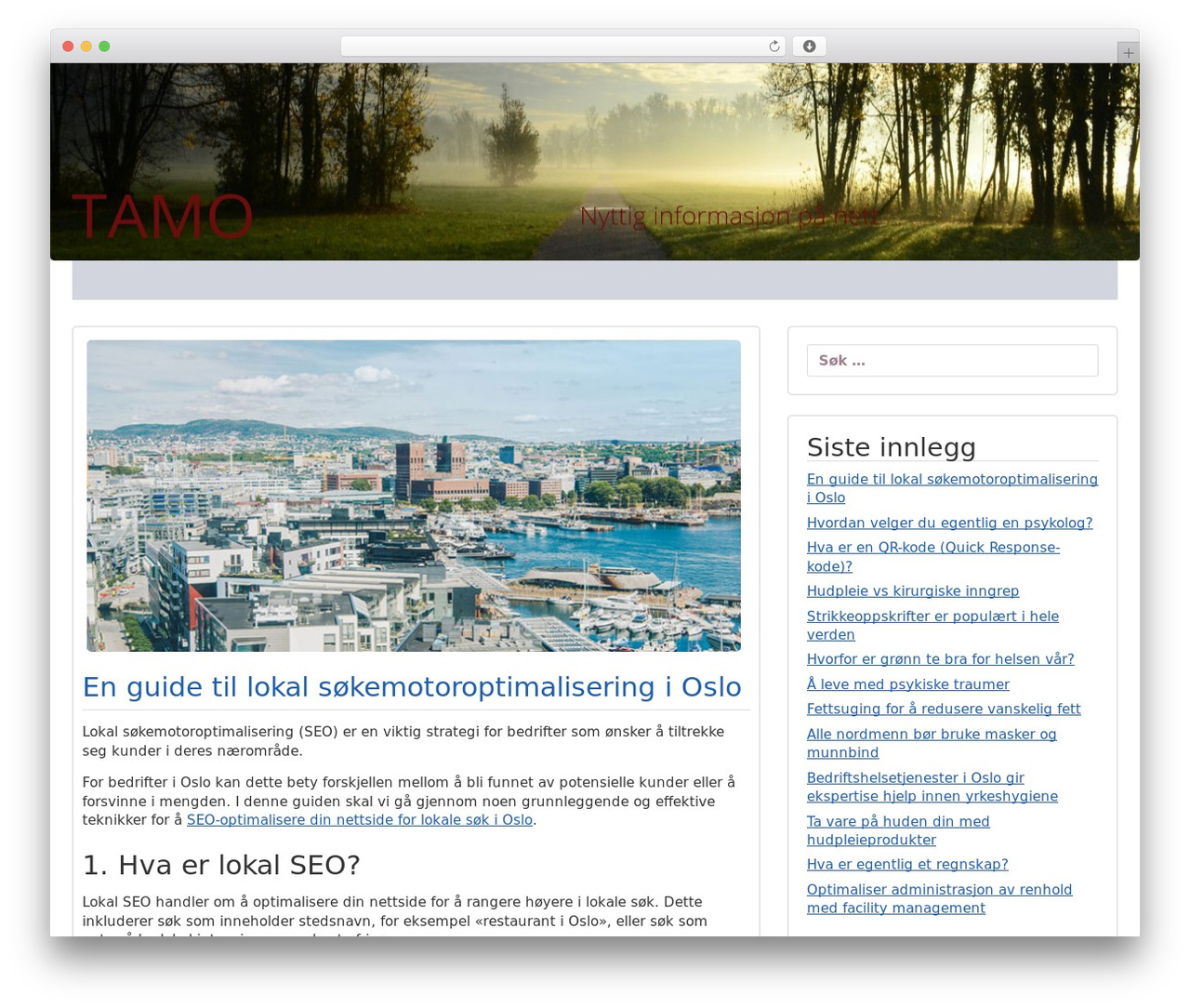 WP theme icyNETS Simplic - tamo.no WP theme icyNETS Simplic - tamo.no