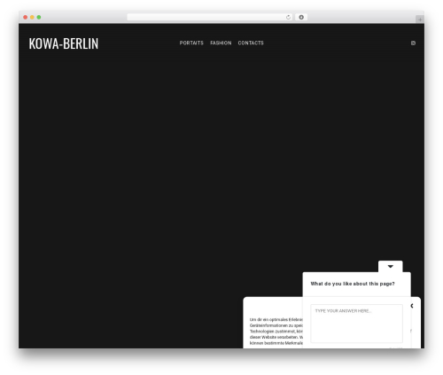 Pm instagram WordPress plugin - kowa-berlin.com