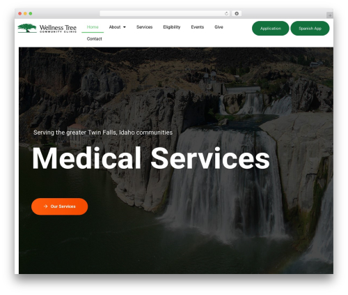 bao WordPress theme - wellnesstreeclinic.org