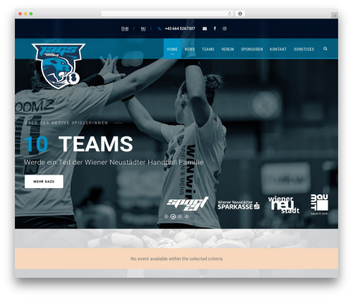 BigSlam WordPress hotel theme - handball-wn.at