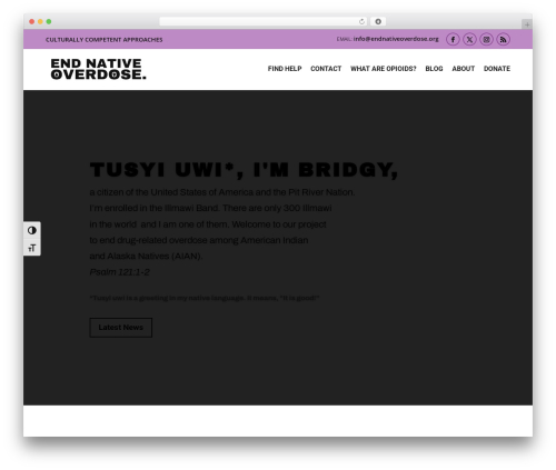 Divi WordPress website theme - endnativeoverdose.org