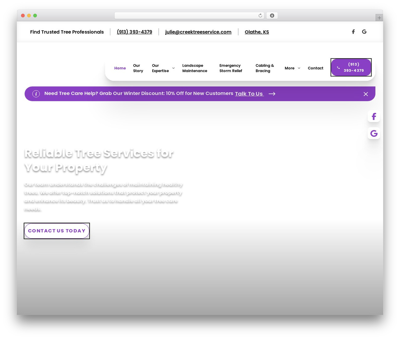 Echo WordPress theme - creektreeservice.com