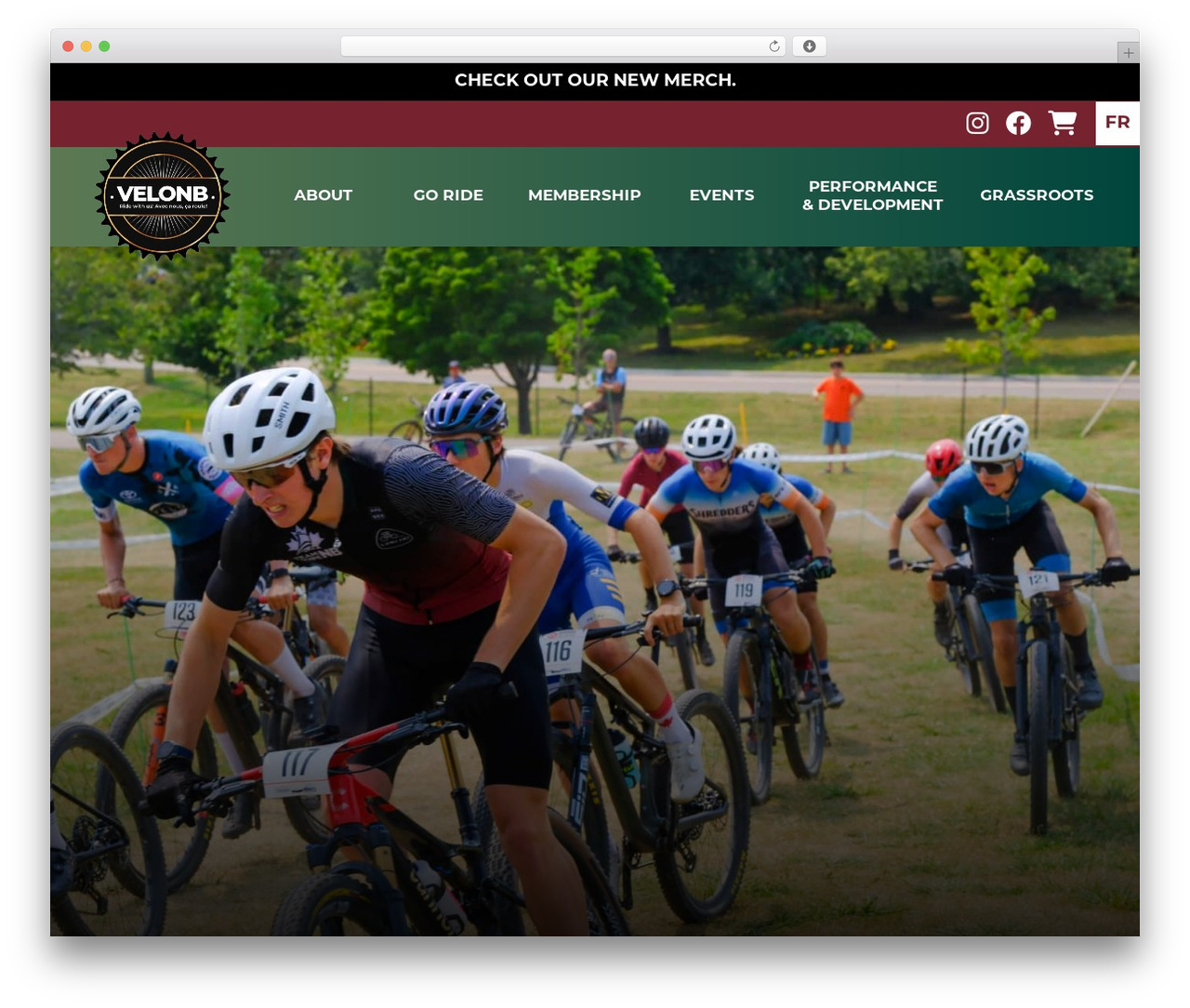 flexy theme WordPress - velonb.ca