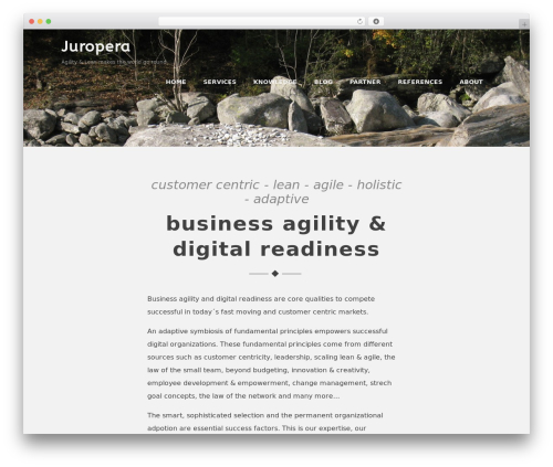 Optimizer PRO WordPress theme - juropera.com