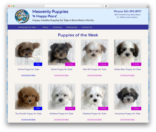 Storefront parallax hero WordPress plugin - heavenlypuppy.com