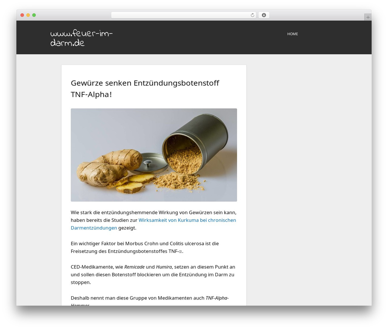 Theme WordPress Genesis Sample Theme - feuer-im-darm.de