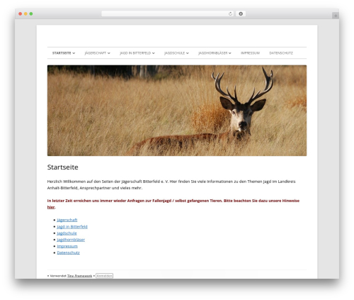 Tiny Framework theme WordPress free - kjs-bitterfeld.de