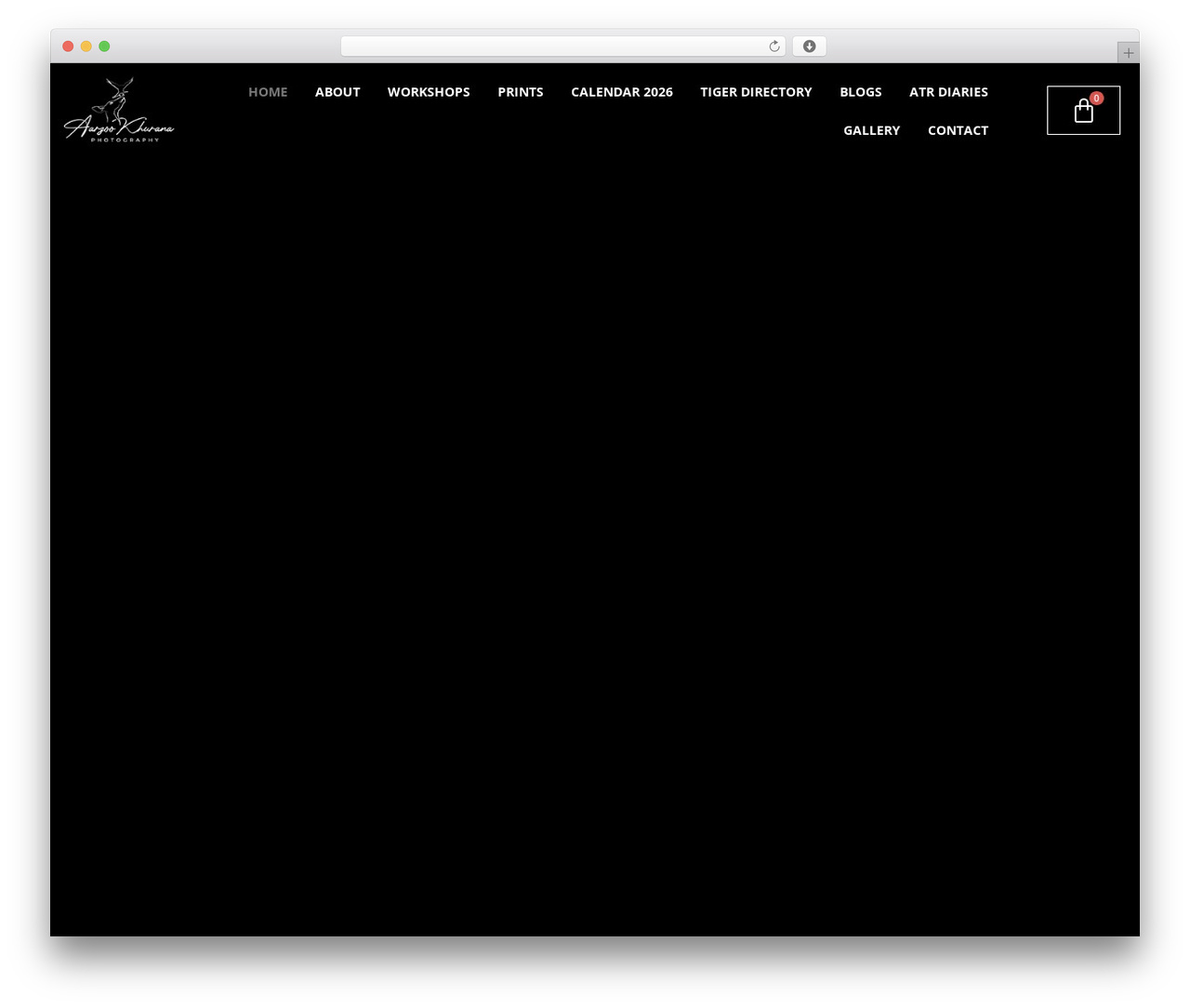 Ashade WordPress page theme - aarzookhurana.com