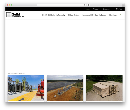 Astra WordPress theme - guildassociates.com