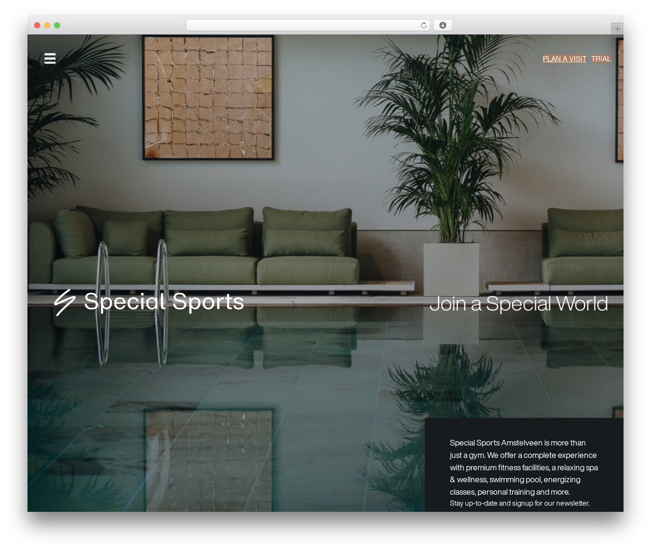 The Pageking Framework WordPress website theme - specialsports.com