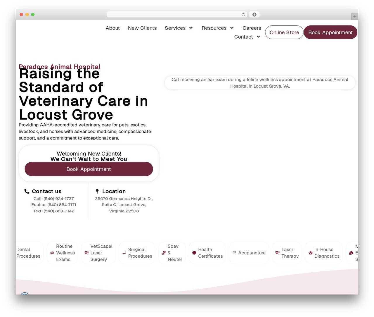 Hello Elementor WordPress theme - paradocsanimalhospital.com Hello Elementor WordPress theme - paradocsanimalhospital.com