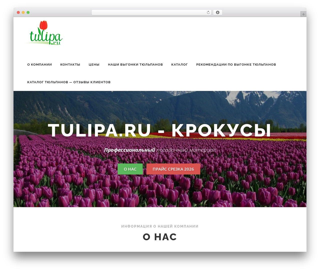 OnePress WordPress theme - tulipa.ru OnePress WordPress theme - tulipa.ru