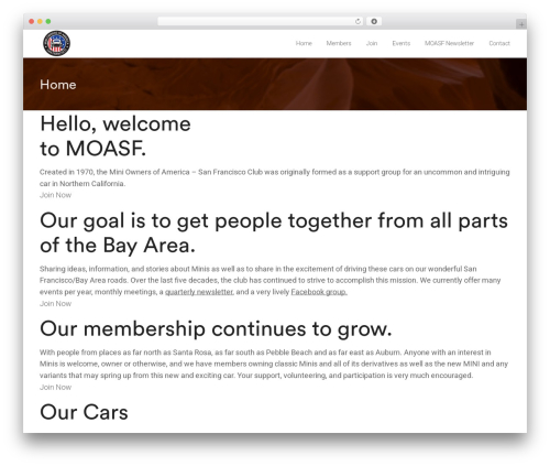 Webify WordPress website theme - moasf.com