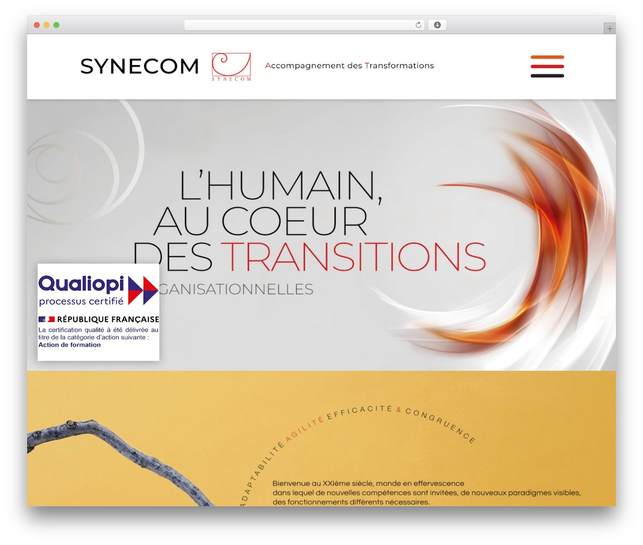 WordPress theme Divi - synecom.net