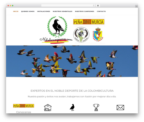 Content Cards (content-cards) free WordPress plugin - nidodecampeones.com Content Cards (content-cards) free WordPress plugin - nidodecampeones.com