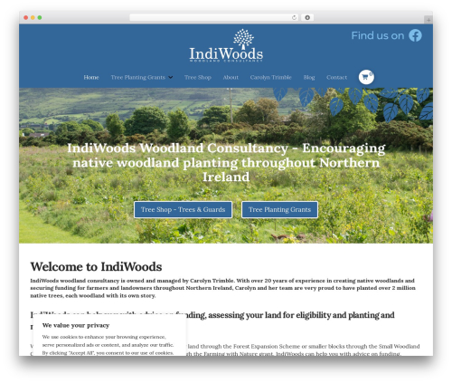 WordPress theme Pro - indiwoods.com