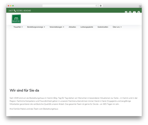 Embedder for google reviews WordPress plugin - makiol.de