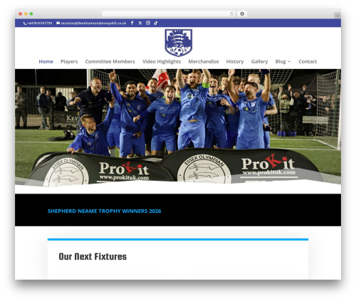 Divi theme WordPress - sandonroyalsfc.co.uk