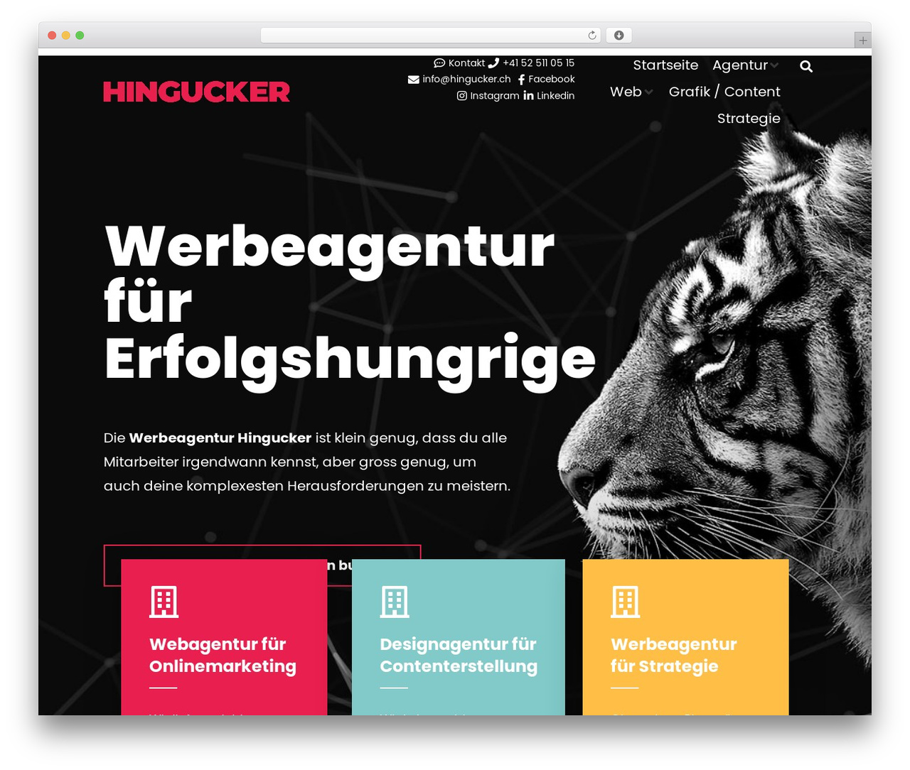 Hingucker Child WordPress theme - hingucker.ch