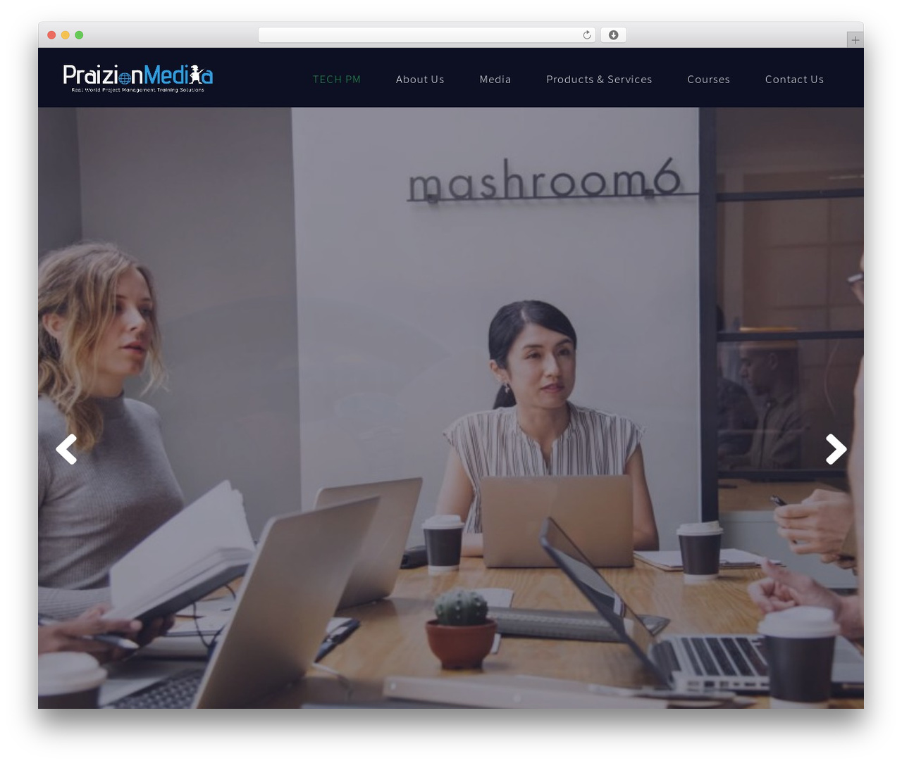 JupiterX WordPress theme - projectmanagementdoctor.com