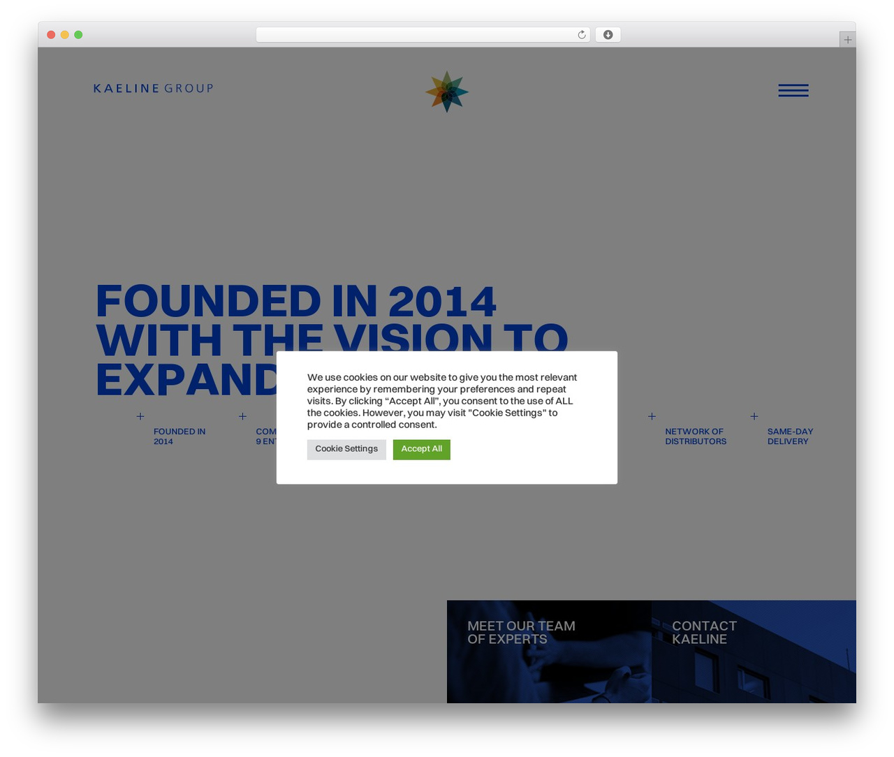 Kommigraphics WordPress theme - kaelinegroup.com