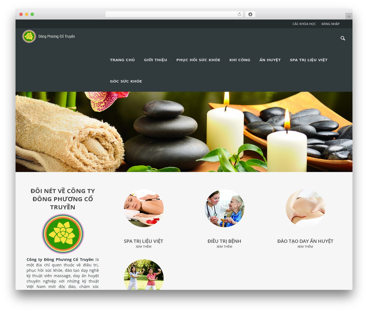 Theme WordPress WPLMS (shared dllcode.ru) - dongphuongcotruyen.edu.vn