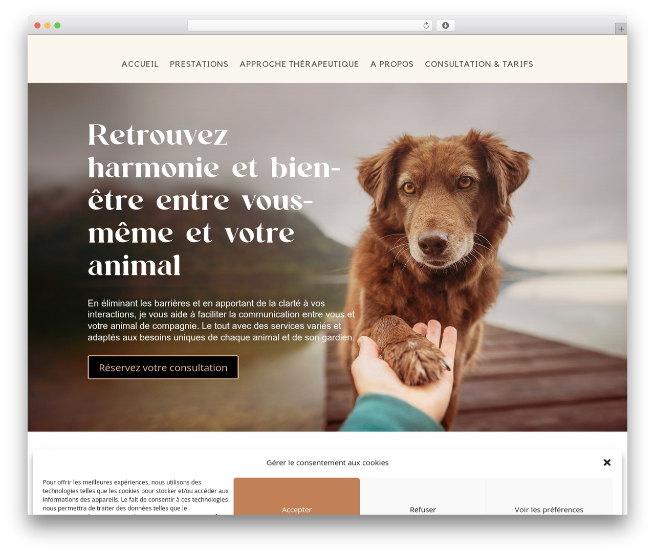 Theme WordPress Divi - theracom.ch Theme WordPress Divi - theracom.ch