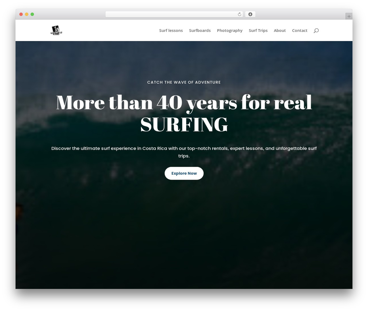 Theme WordPress Divi - matossurfshop.com Theme WordPress Divi - matossurfshop.com