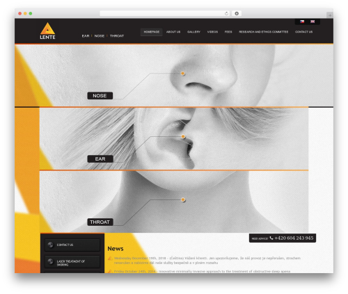 WordPress theme Bootstrap Basic - lente.cz