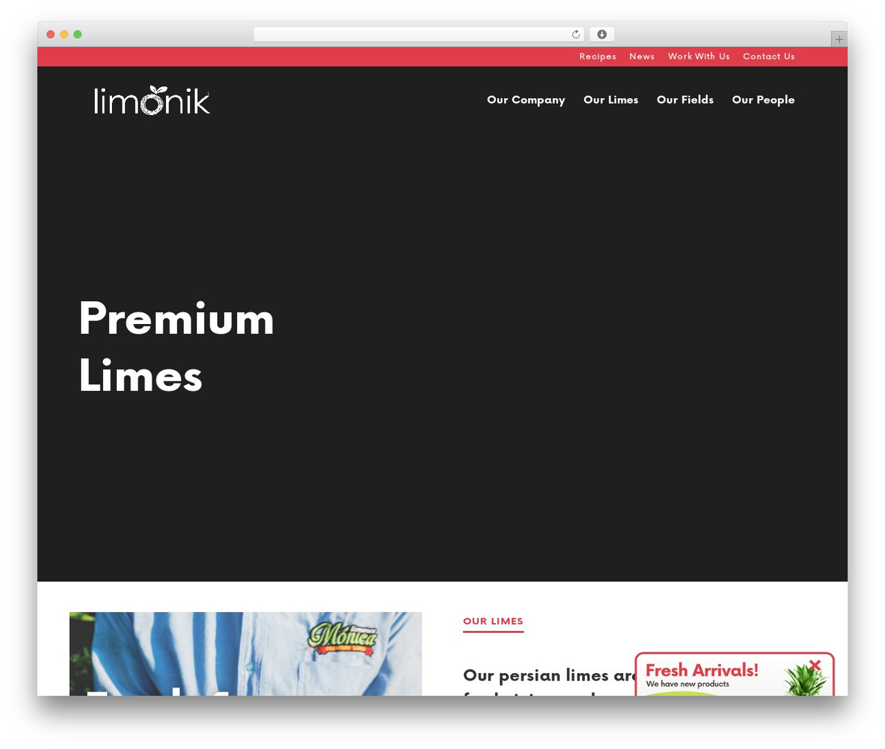 WordPress theme Divi - limonik.com