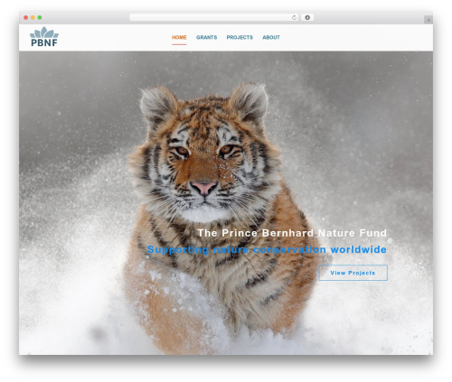 Themler core WordPress plugin - pbnf.nl