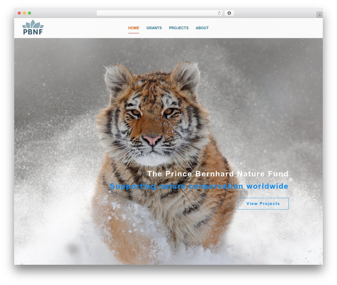 WP theme mtm_changes - pbnf.nl